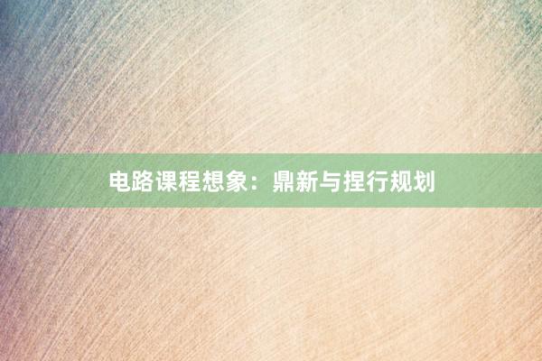 电路课程想象：鼎新与捏行规划