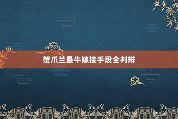 蟹爪兰最牛嫁接手段全判辨