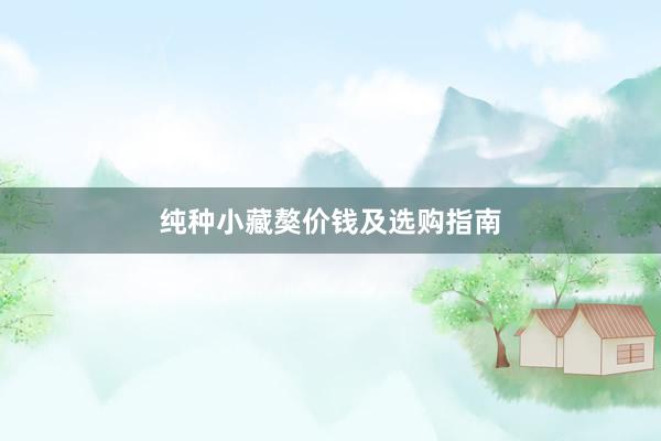 纯种小藏獒价钱及选购指南